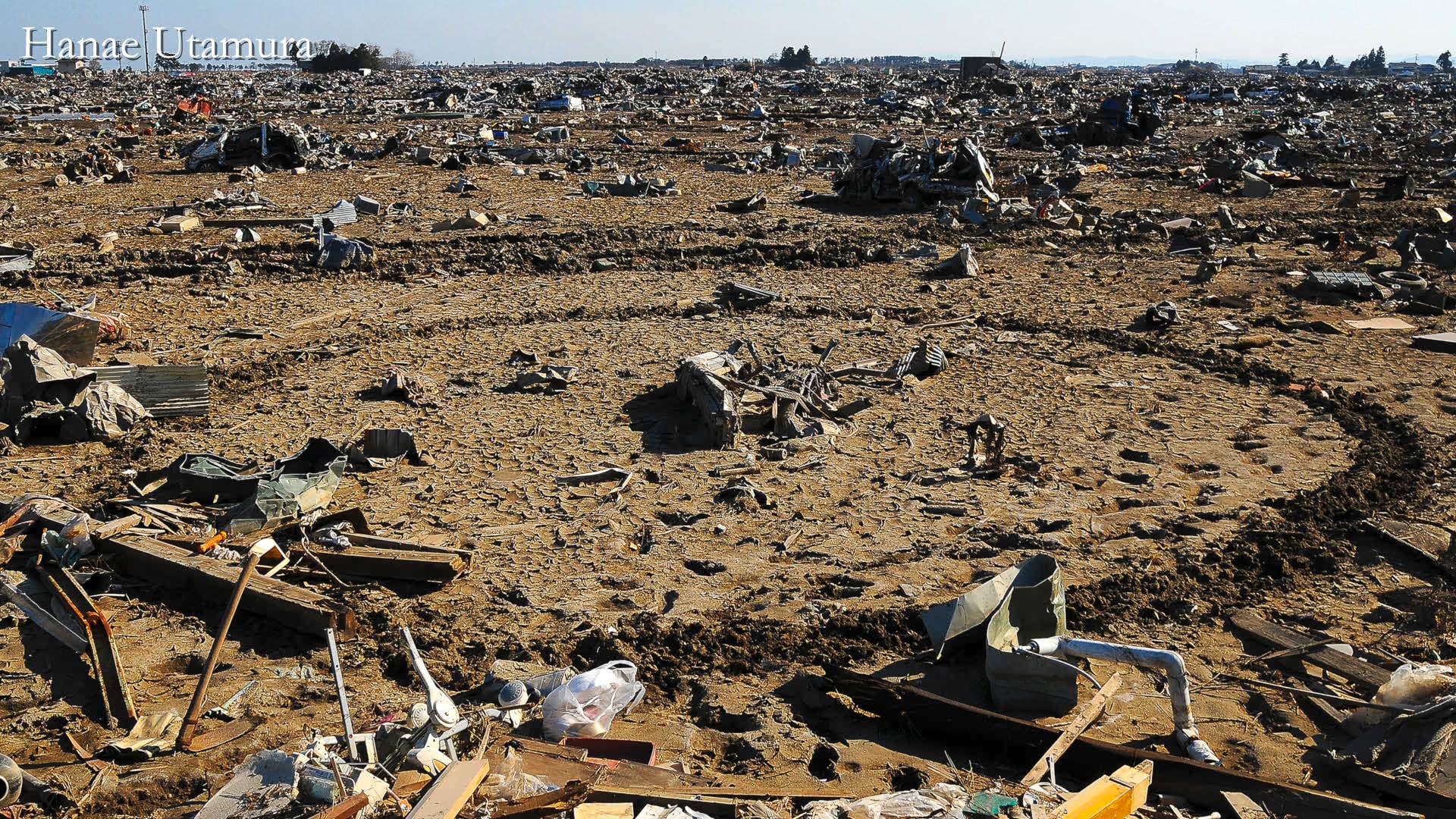 Sweep_Landskip_performance_2018