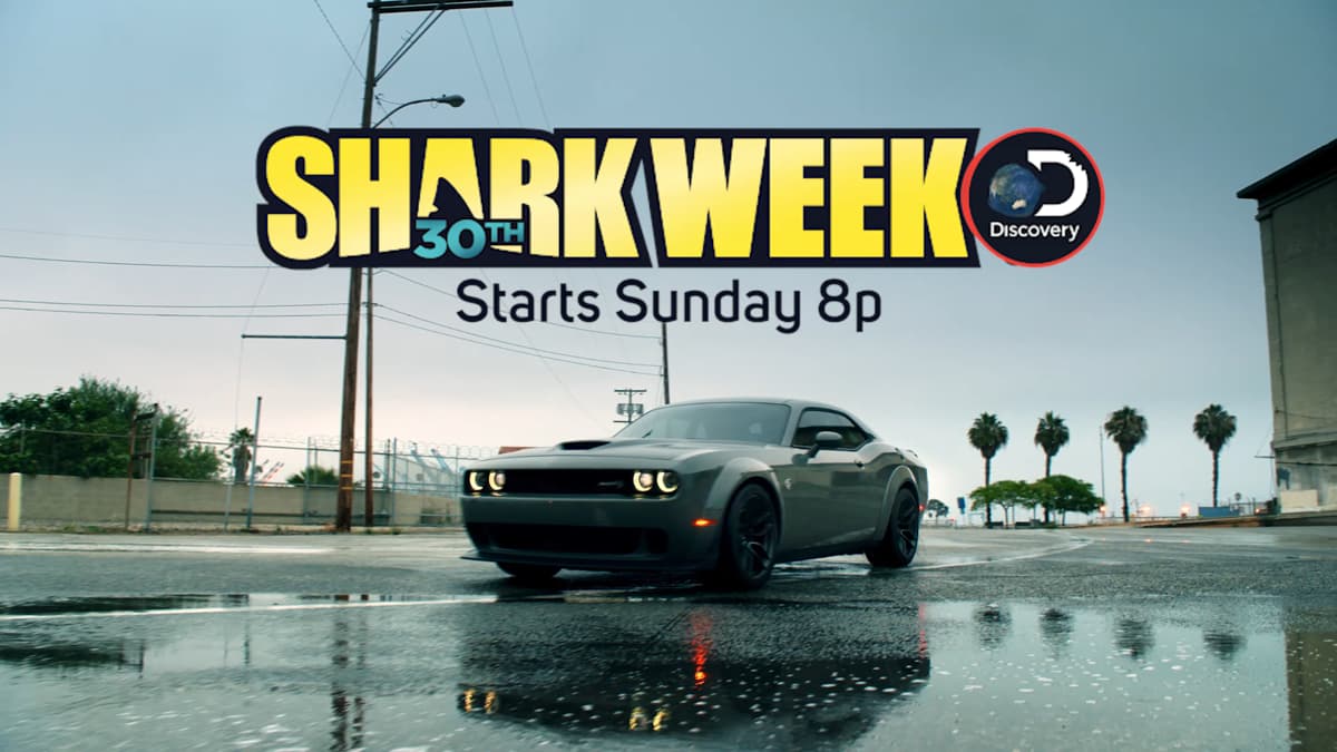 SHARK WEEK — film still