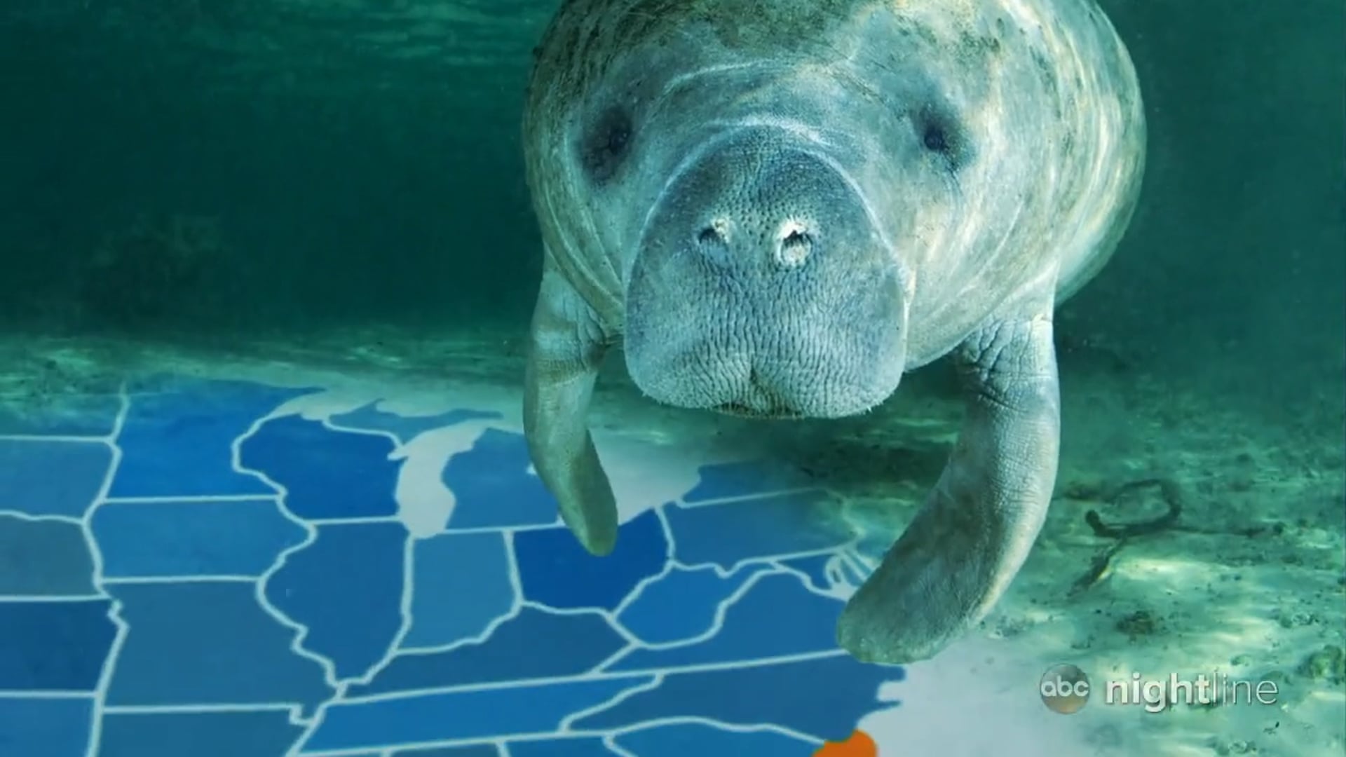 Manatee 9-1-1