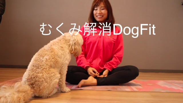 むくみ解消DogFit