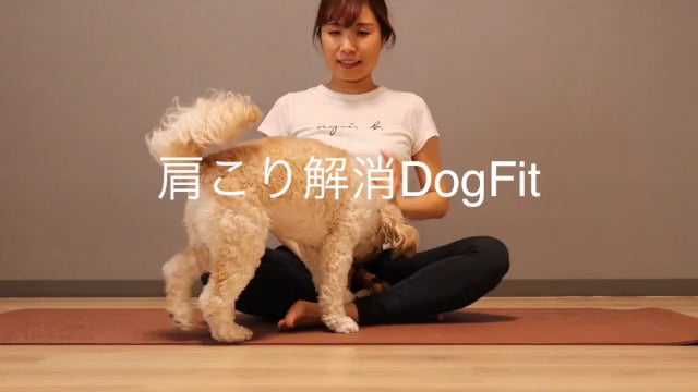 肩こり解消DogFit