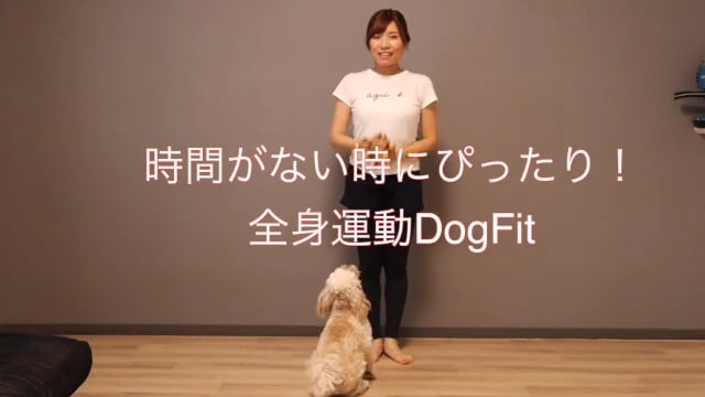 全身運動DogFit