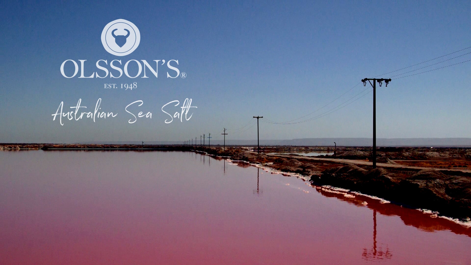 Olsson's Salt.