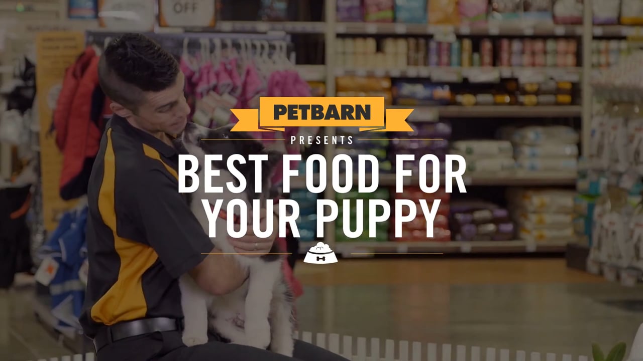 Petbarn presents- Selecting the best food for your puppy