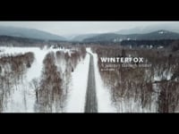Winterfox