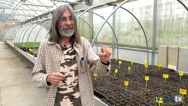Julio López, investigador de pratenses en el CIAM