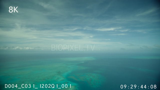 Inter Reef on Vimeo