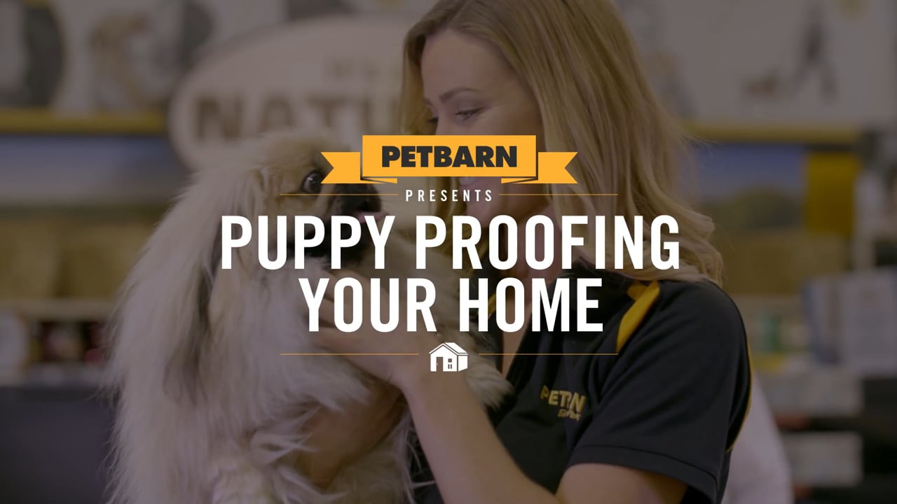 Petbarn presents- Puppy proofing your home