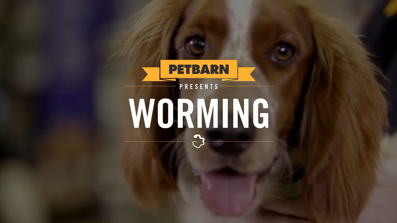 Petbarn presents- Protecting your dog from worms