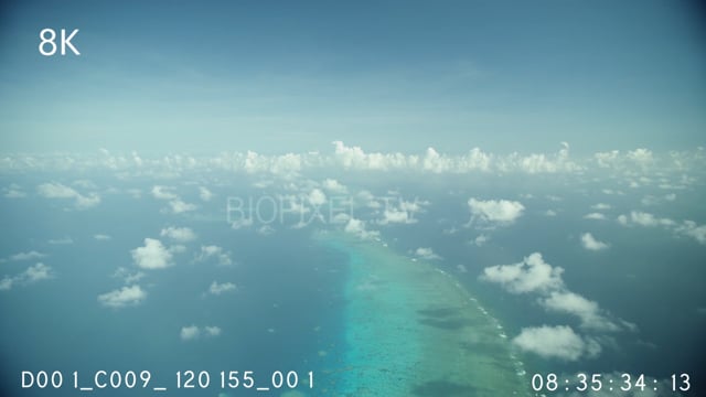 Inter Reef on Vimeo