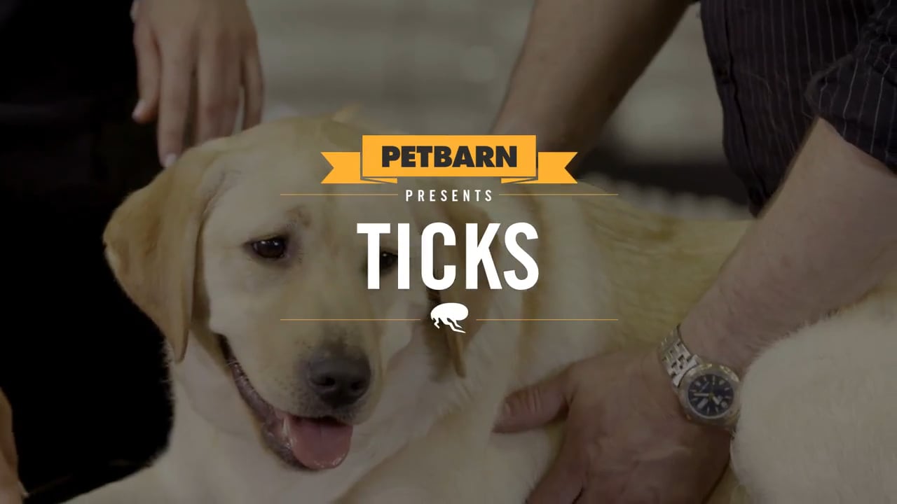 Petbarn presents- Protecting your dog from ticks