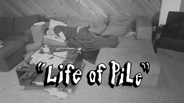 Life of Pile