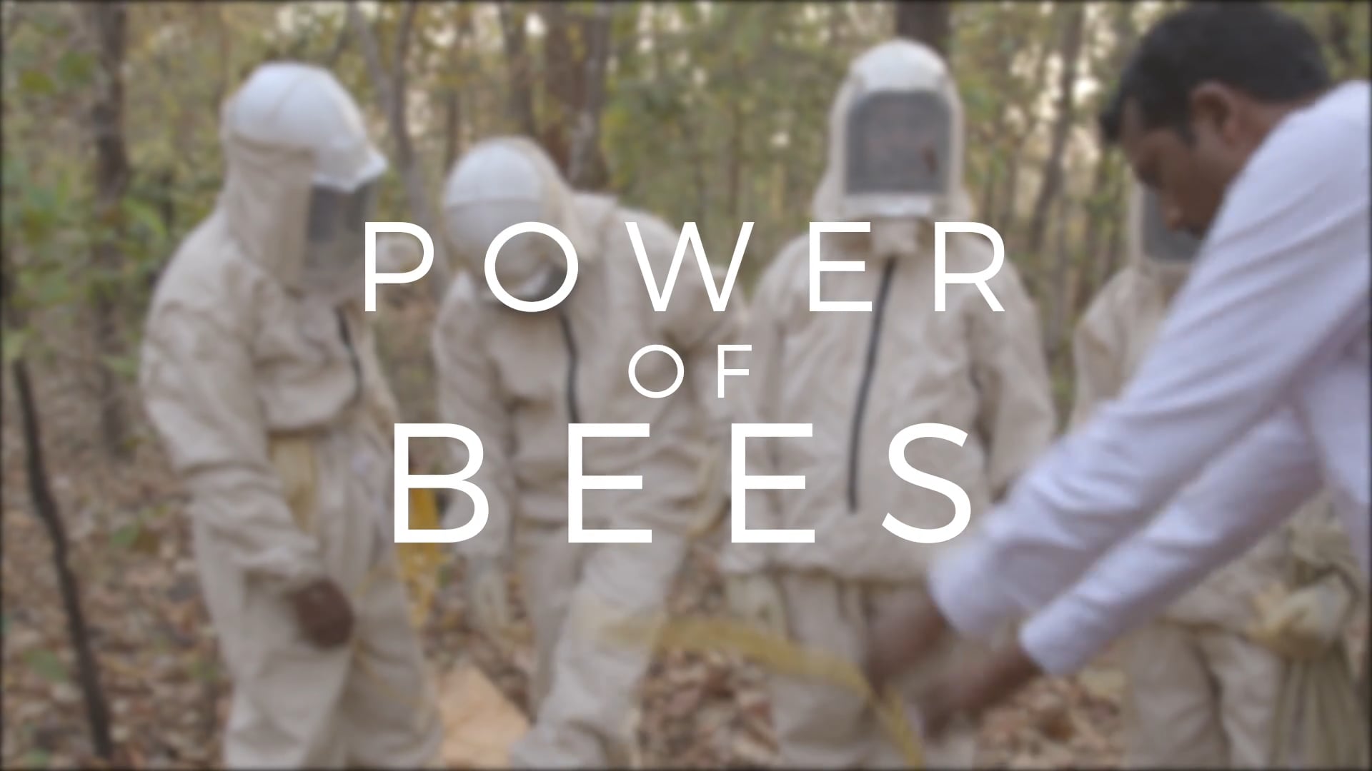 Heavenly Organics - Power of Bees