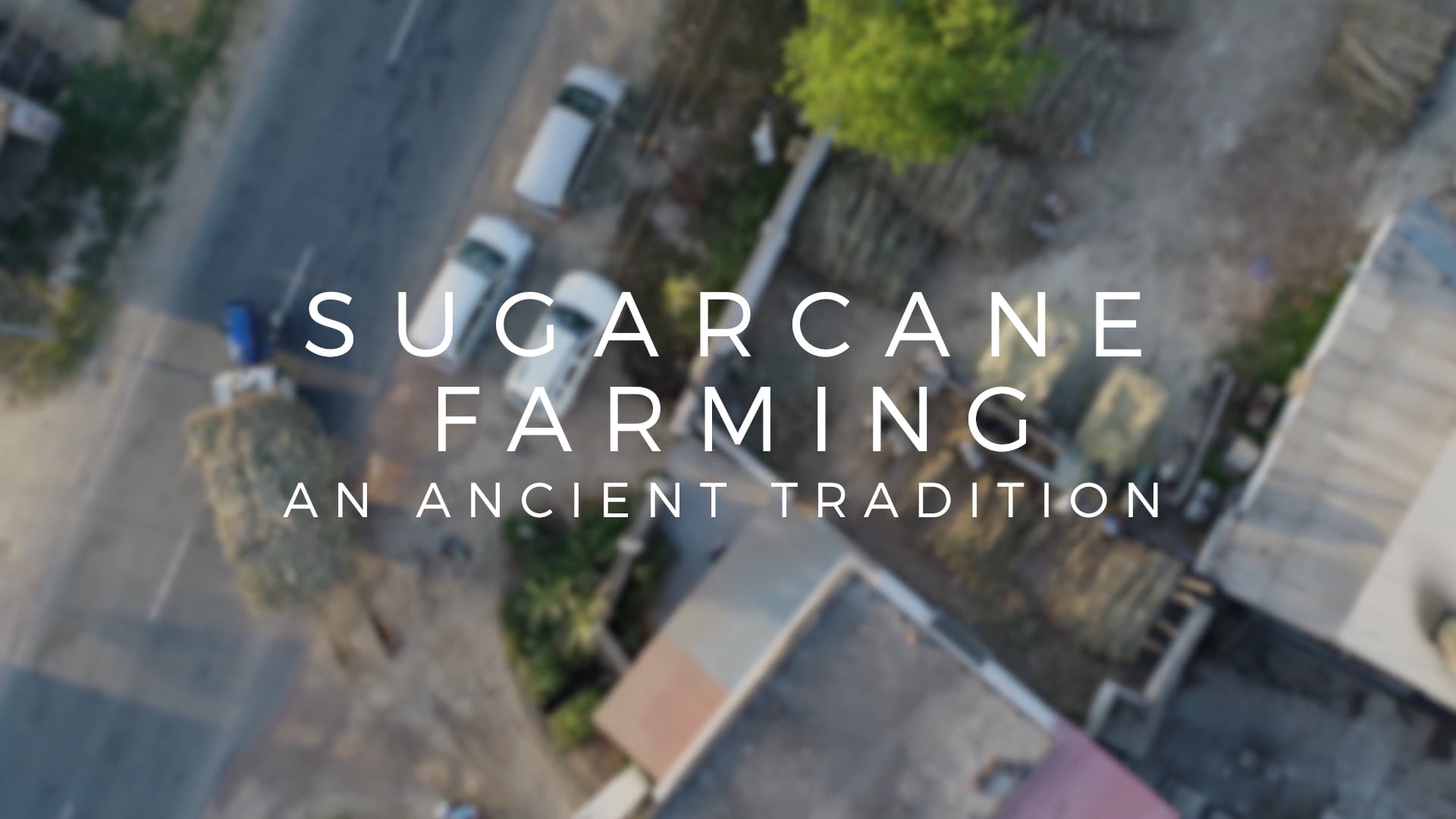 Heavenly Organics - Sugarcane Farming