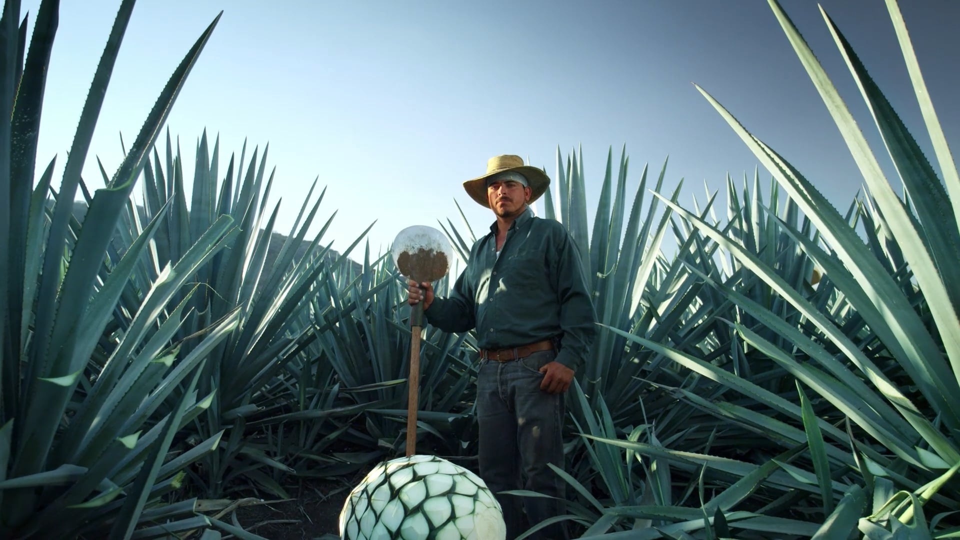 Patron "Taste How It's Made"