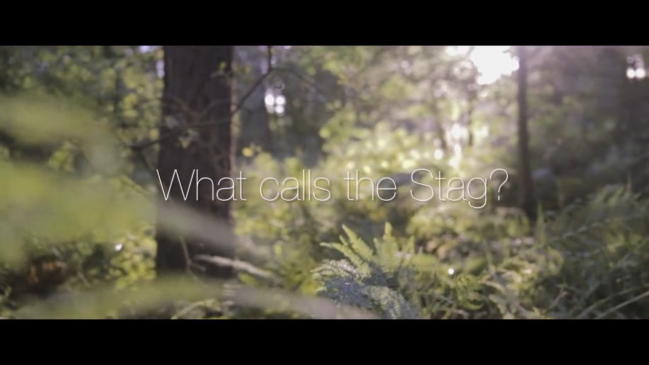 What calls the stag?