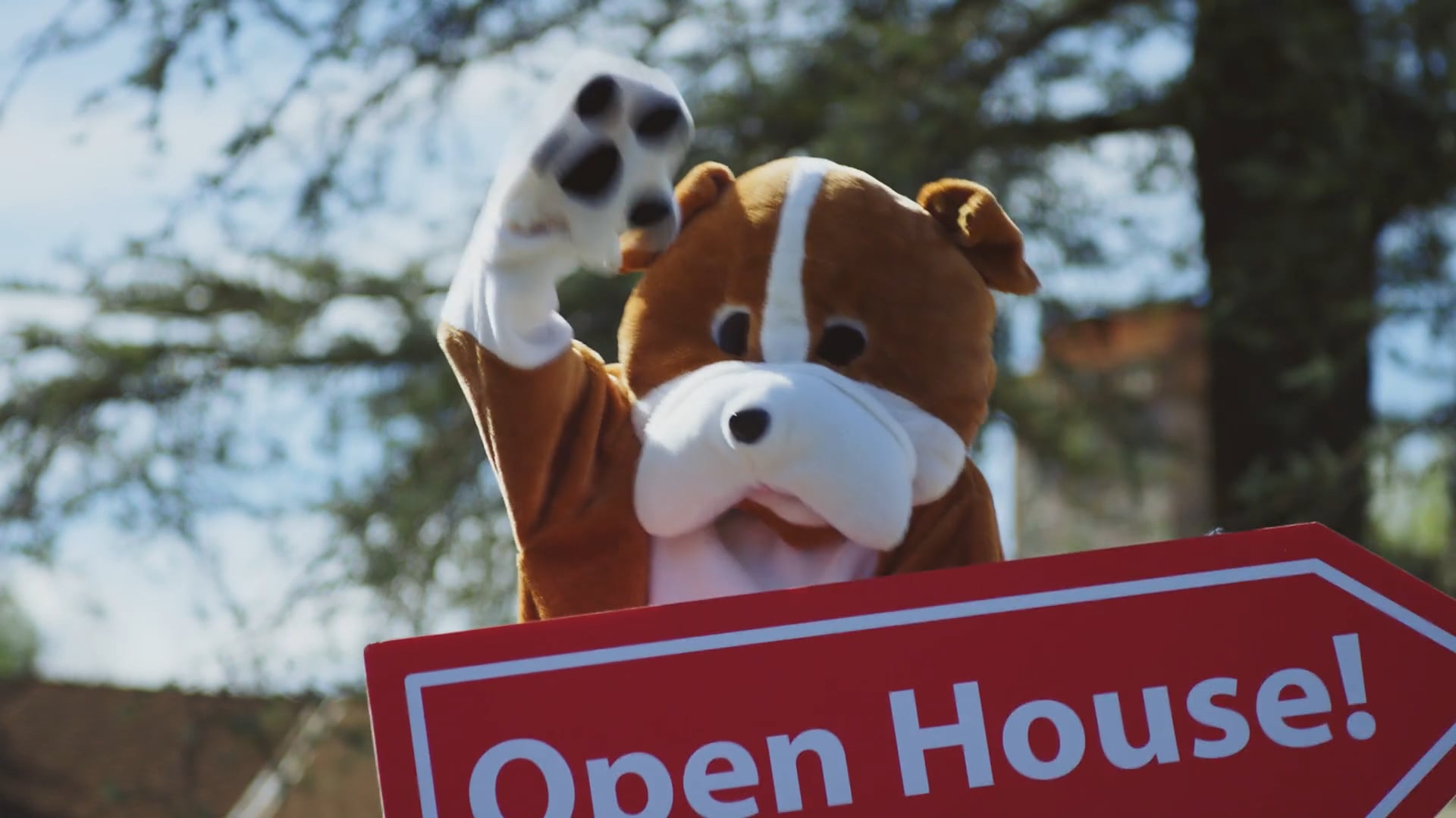 Roofshoot - "Underdog"