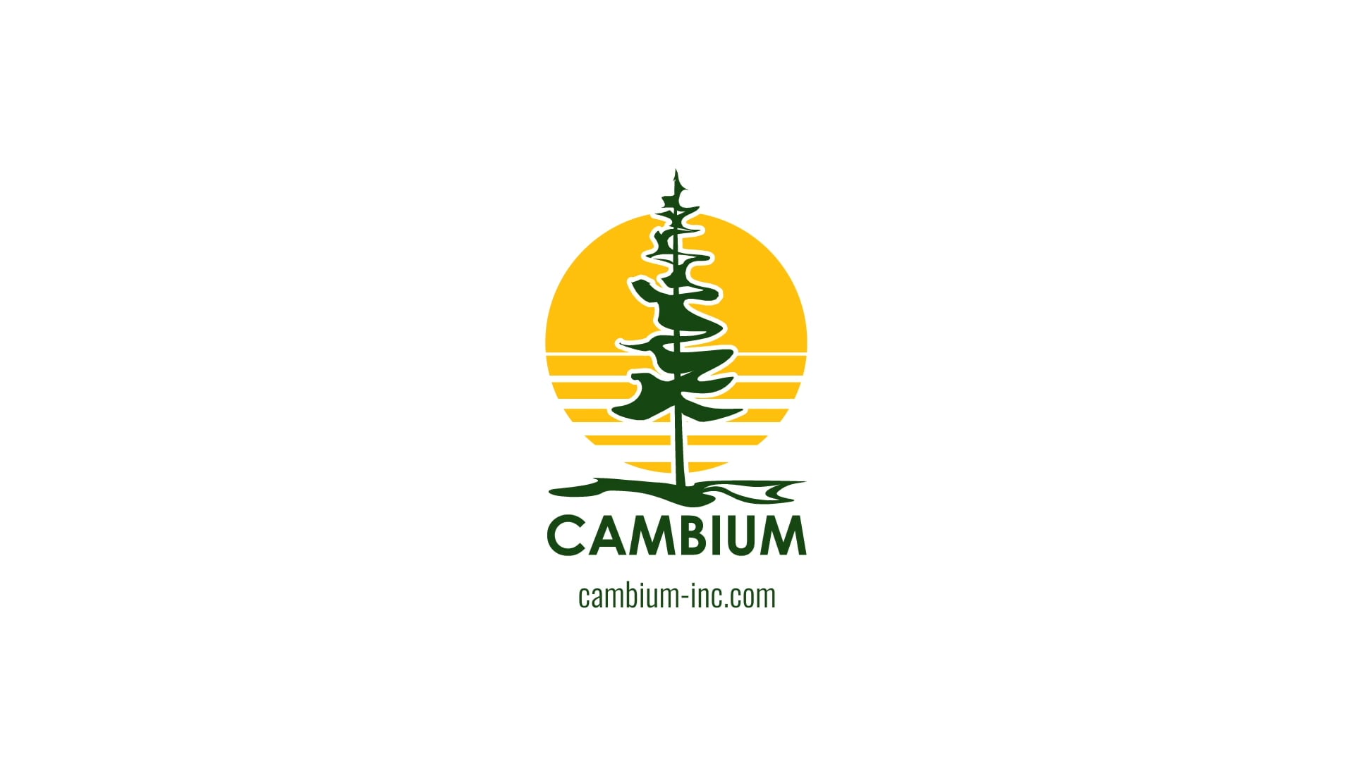 Cambium Recruitment Video