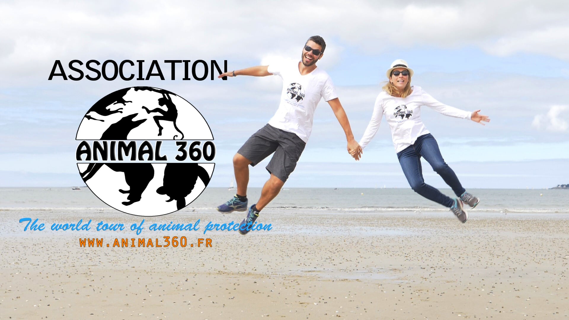 Animal 360 association