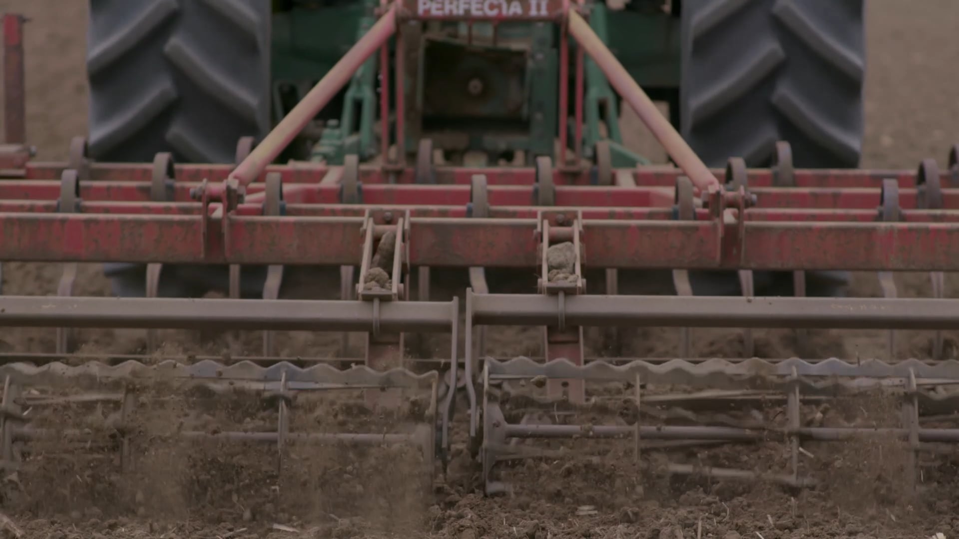 Rothman Institute | Schaubs