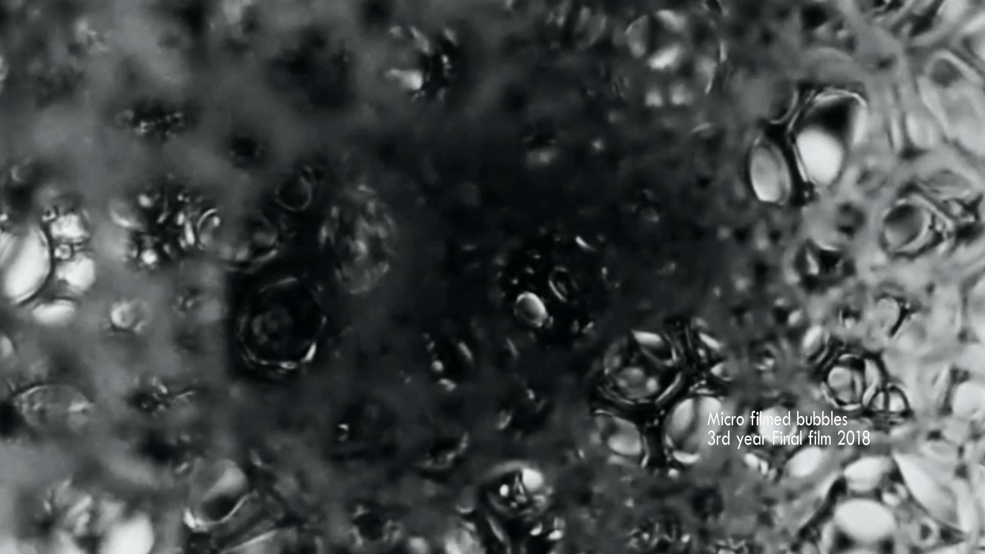 Jessica de Leeuwe Showreel 2018