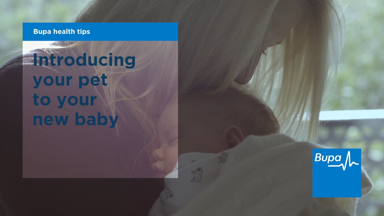 Bupa - Introduce your pet to your new baby