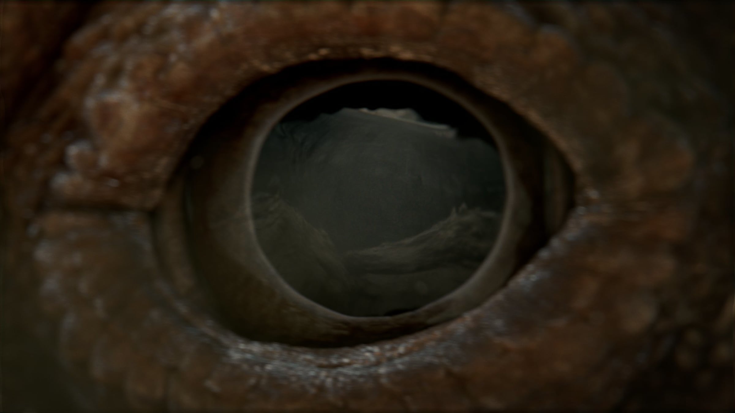 General Tire - Eye | Videos & Movies on Vimeo