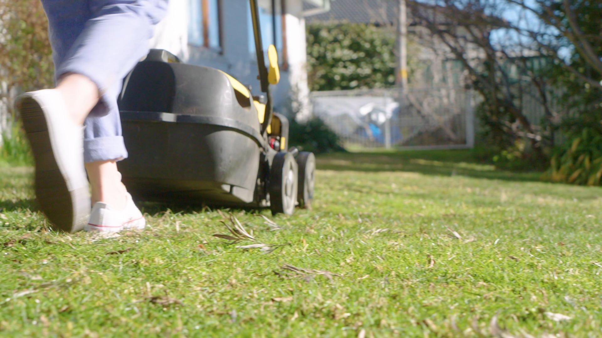 Capital Chemist - Allergies