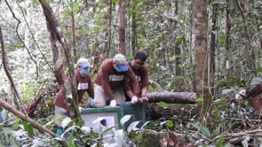 Cameron Park Zoo Visits Borneo