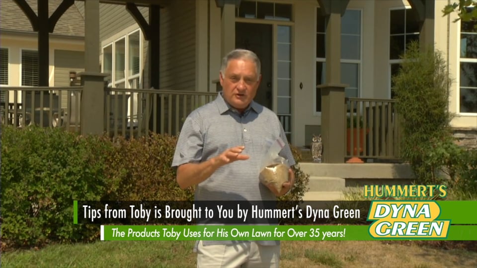 Tips from Toby Fall Seed Choices