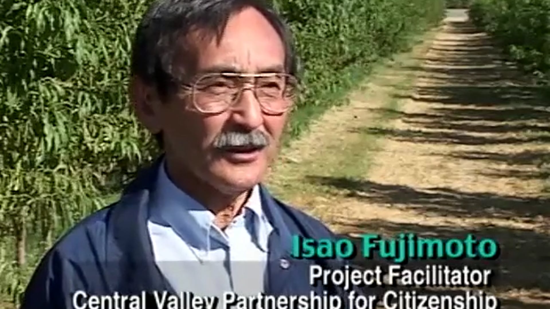 Isao Fujimoto CVP Overview