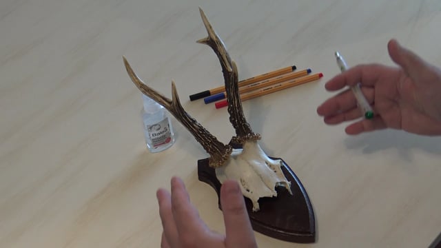 Braver Bock und nicht schöner Bock