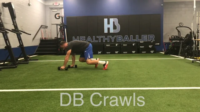 Crawling - the perfect full body exercise - Citizen Athletics