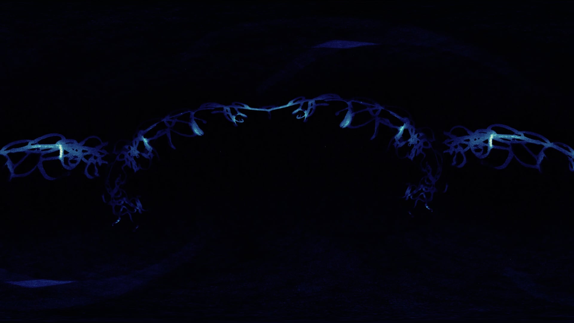 Pegasus Creek Bracken Seeds