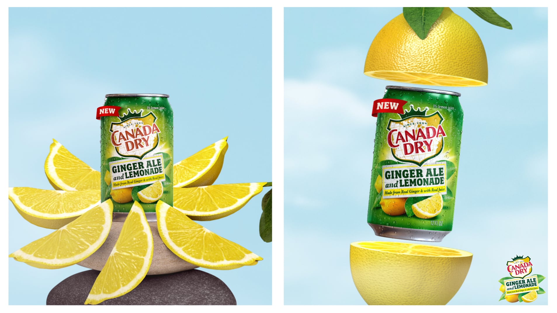 Canada Dry - Ginger Ale + Lemonade (Social Animations)