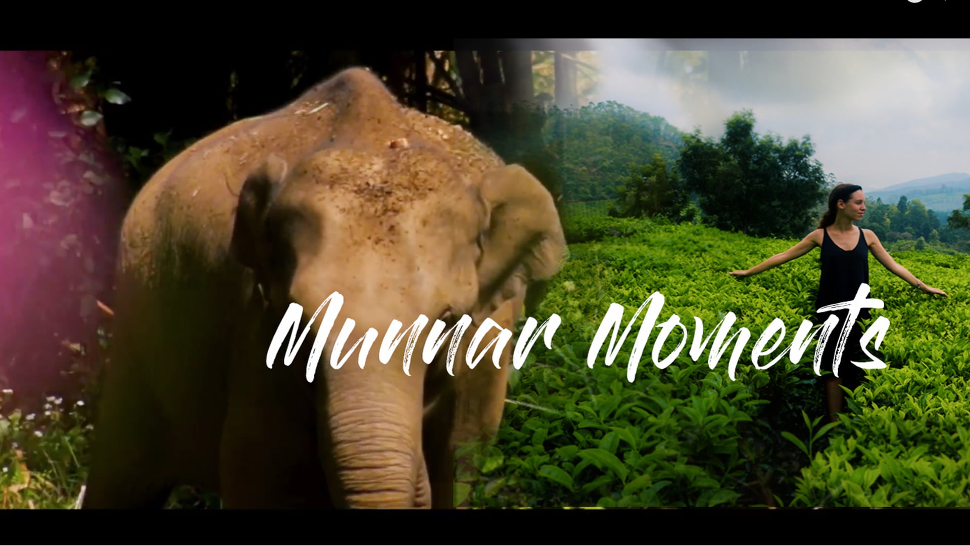 Munnar Moments