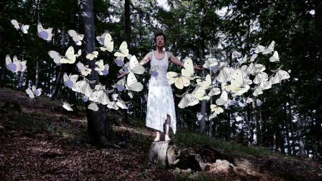 Forestmaker, 2018