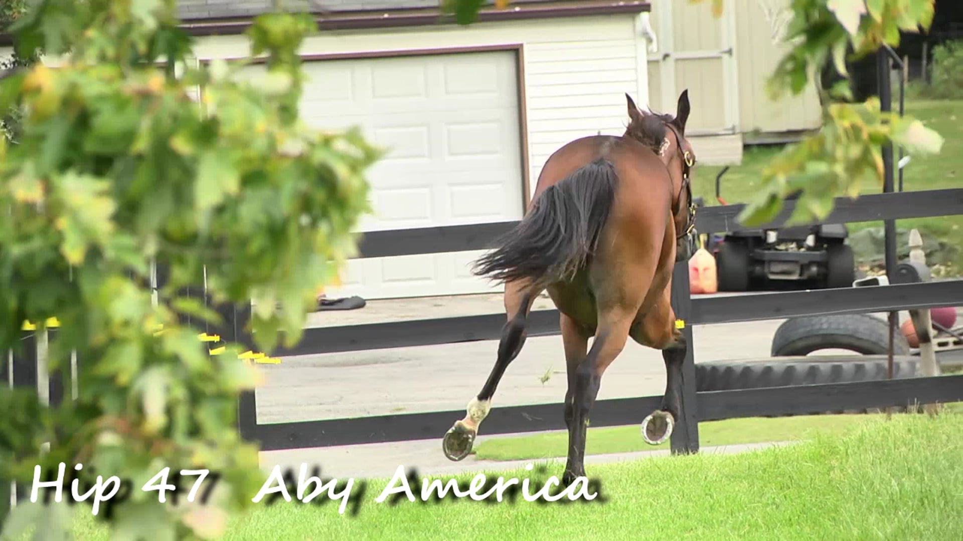 Hip 47 Aby America
