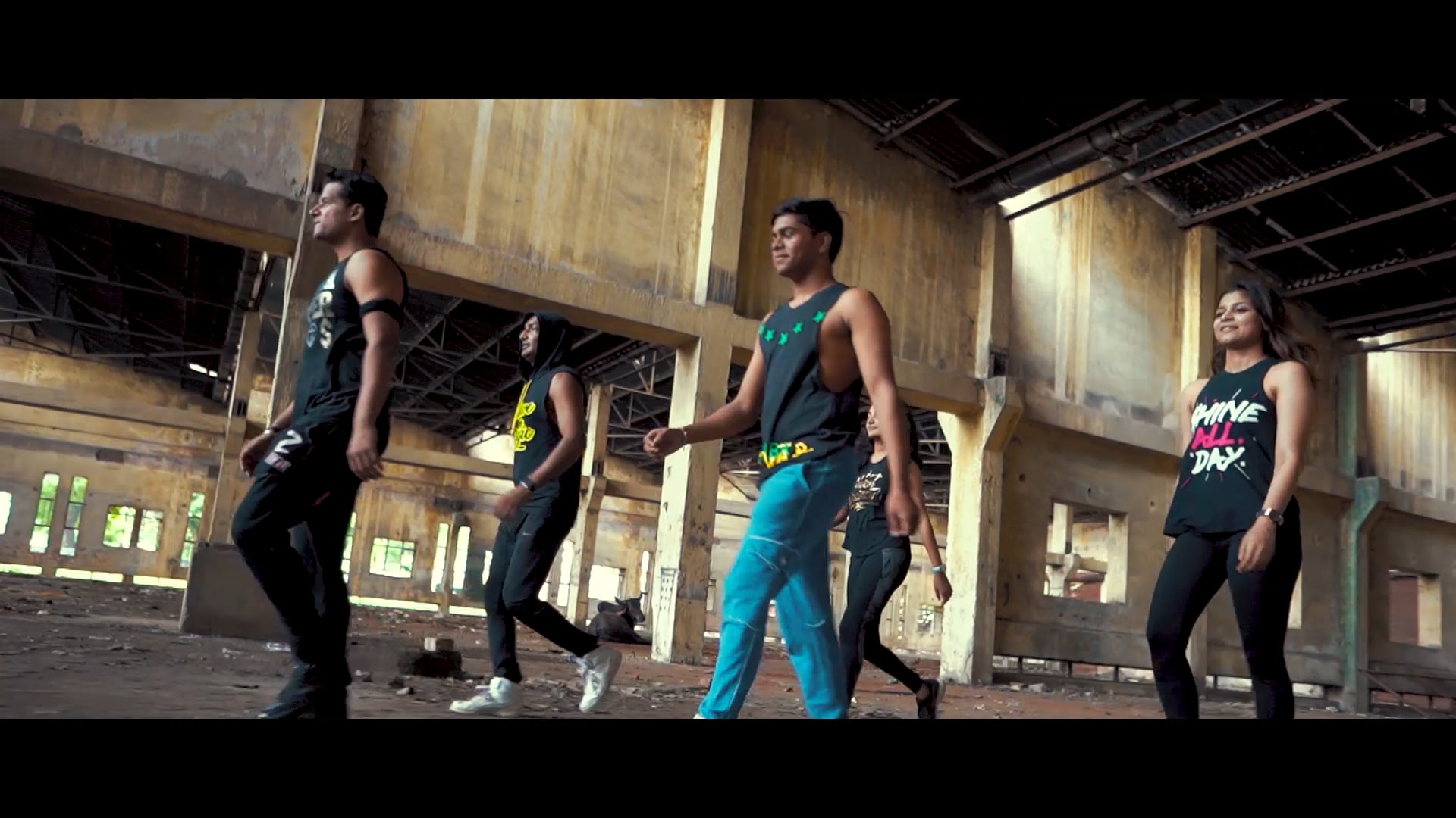 VIBE- THE FITNESS STUDIO