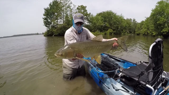 Fishing for Grass Carp