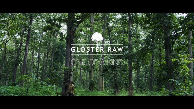 Gloster RAW