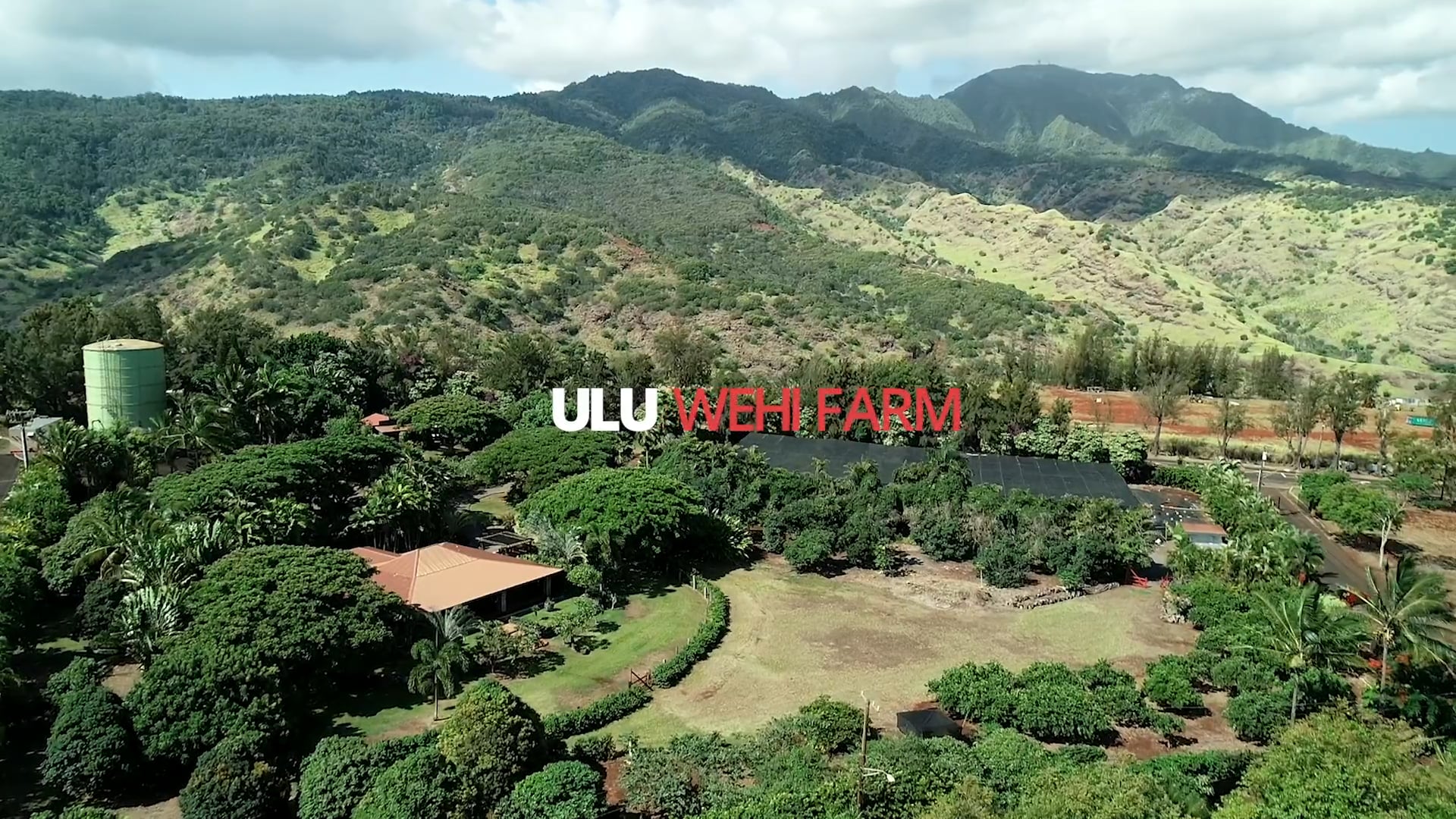 Ulu Wehi Farm - Coldwell Banker Pacific Properties