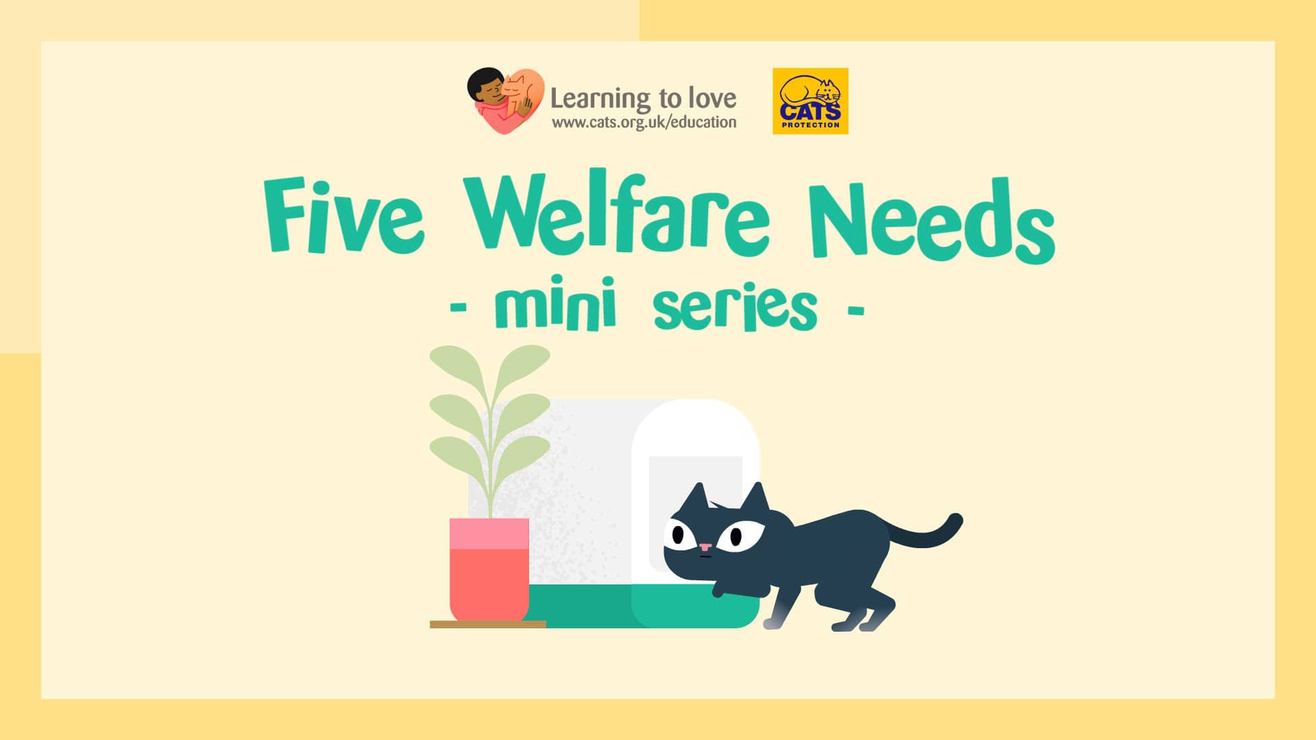 Five welfare needs mini series cats protection on vimeo