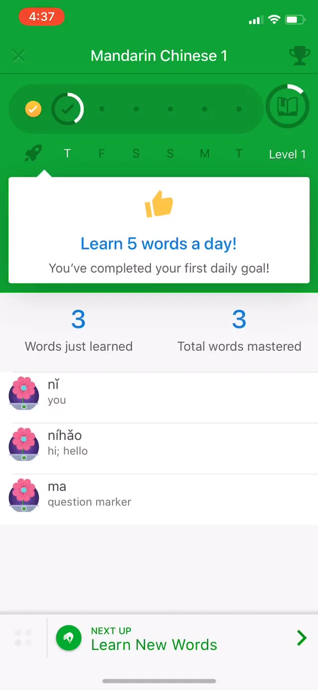 Memrise Discord App: Powering Community Language Learning