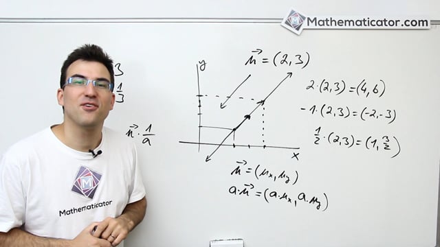 Analytická geometrie 10 - Vektory - násobení vektoru číslem