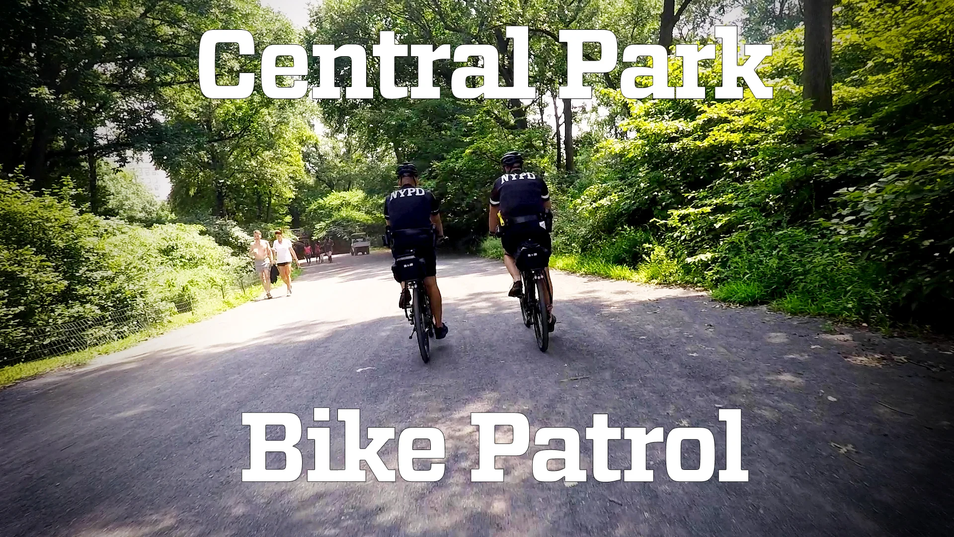 Central park bike store trail