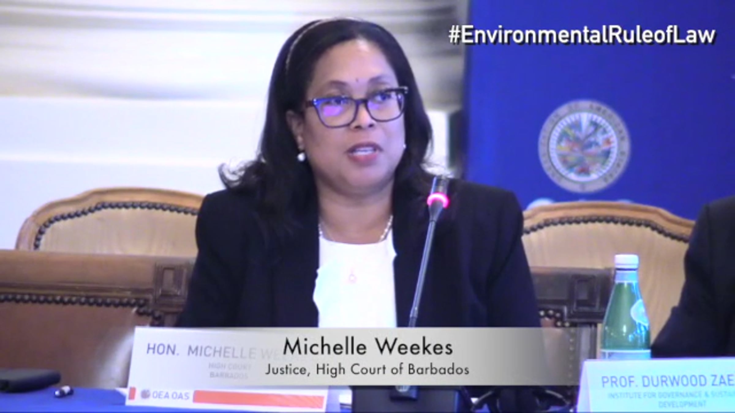 Michelle Weekes, Justice, High Court of Barbados, speaks at OAS ...