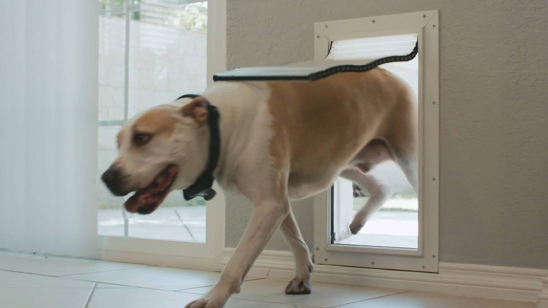Armor Flex Pet Door by Hi Tech Pet on Vimeo