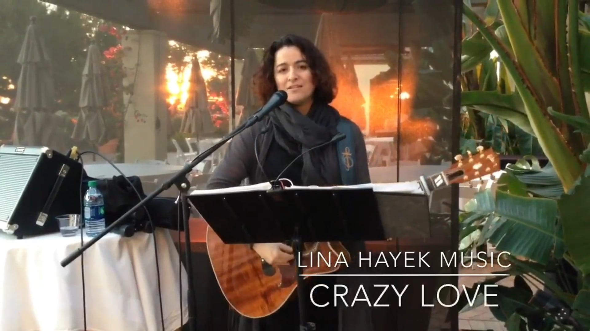 Promotional video thumbnail 1 for Lina Hayek Music