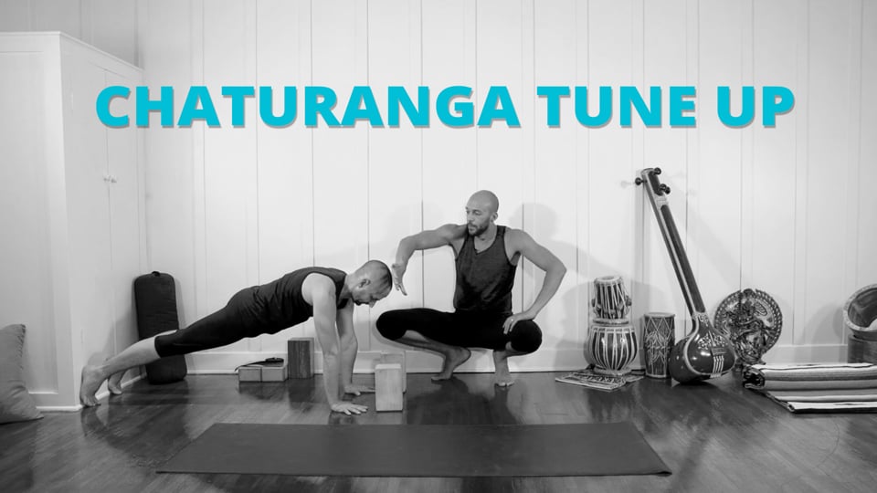 Chaturanga Tune-Up